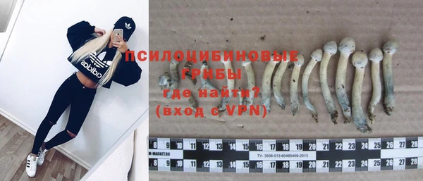 твердый Богданович