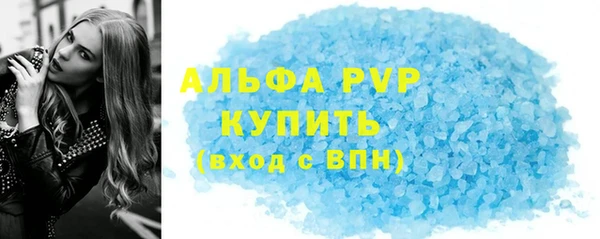 твердый Богданович