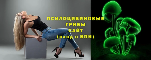 прущие грибы Богородицк