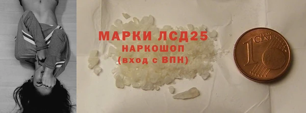 прущие грибы Богородицк