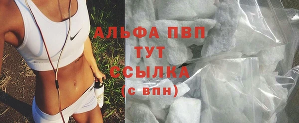 стаф Белоозёрский