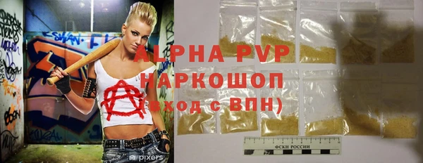 твердый Богданович
