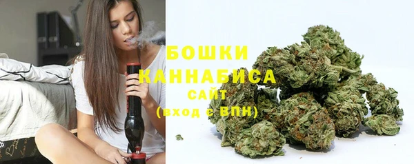 твердый Богданович